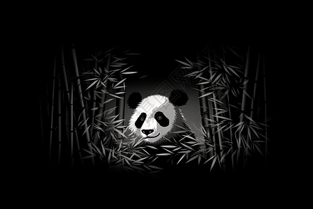 夜晚中的熊猫图片