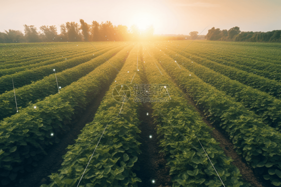 人工智能的科技农业图片