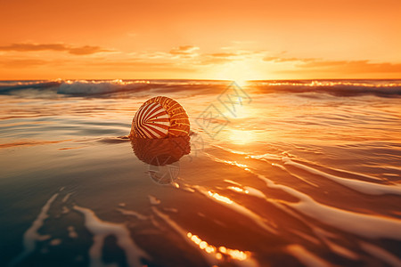 大海海滩上搁浅的海螺图片