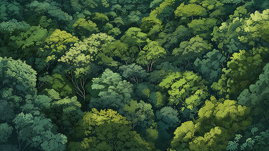 绿色森林里的树木图片