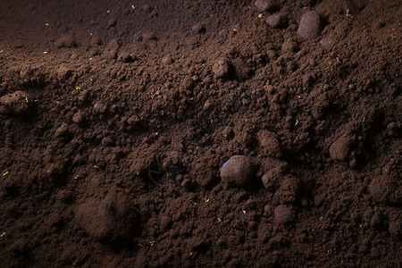 深棕色的壤土图片