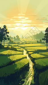 稻田的宁静景观图片