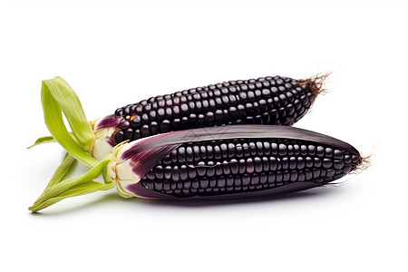 白色背景上的有机黑玉米高清图片