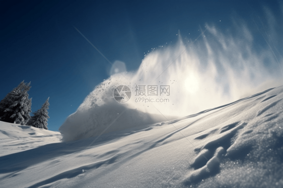 飞扬的雪花图片