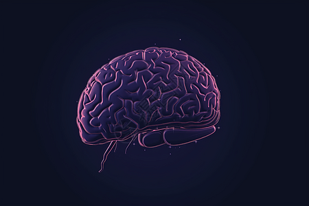 在深紫色背景下的大脑图片