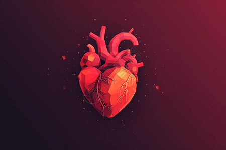 模块化的心脏图片