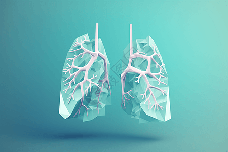 方块化的肺部图片