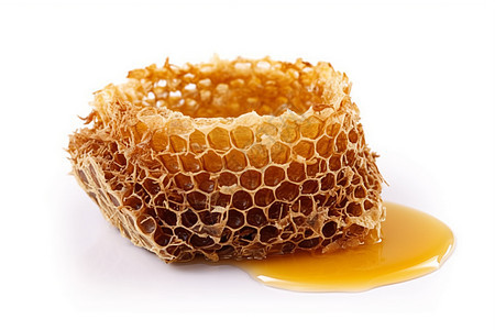 新鲜的蜂蜜巢图片