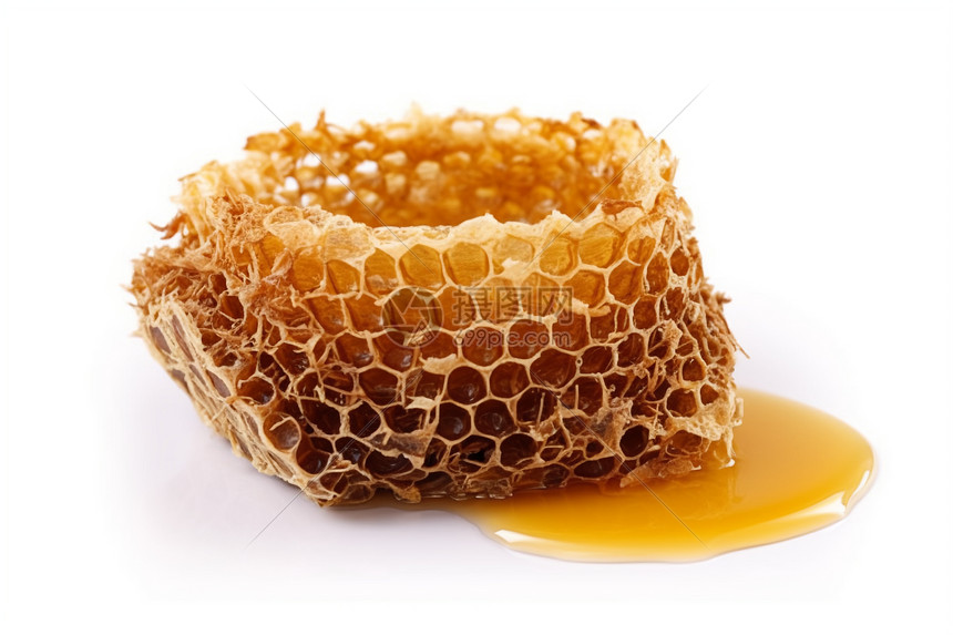新鲜的蜂蜜巢图片