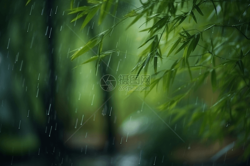 雨中的竹林图片