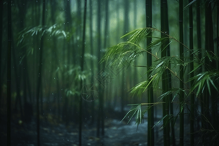 中国风雨中竹林图片