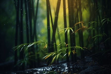 风雨中的竹林图片
