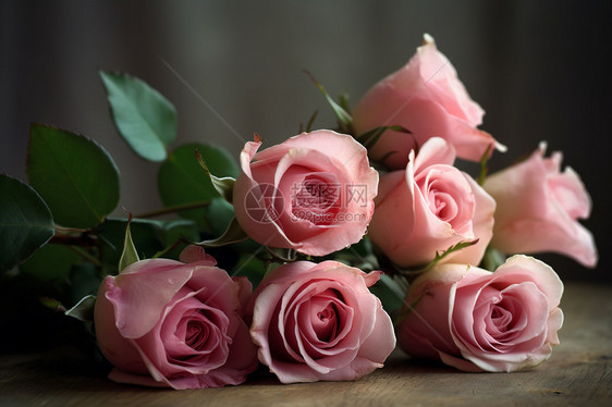 粉红玫瑰图图片