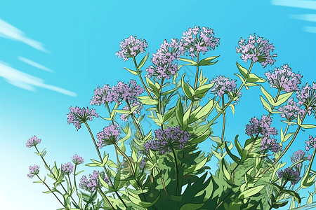 紫色植物在其自然环境中的创意插图图片
