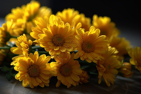 美丽的黄色雏菊背景图片