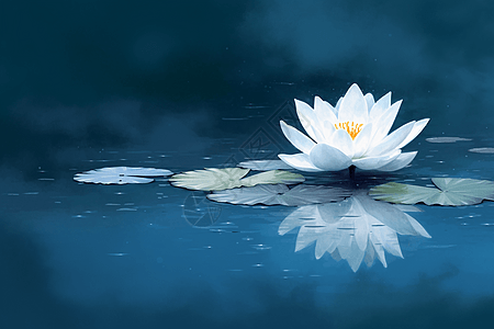 色湖上的白色莲花图片