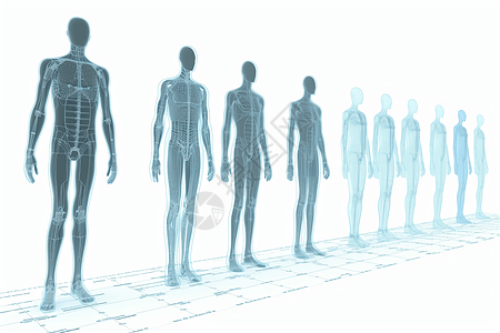 人体经络3D概念图图片