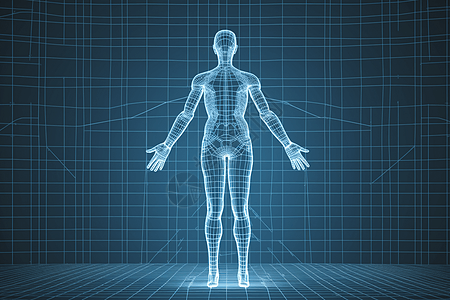 人体经络系统概念图图片