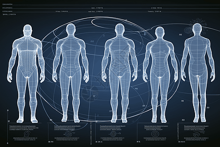 人体经络系统3D概念图图片