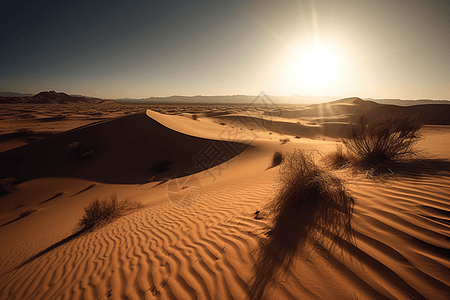 灼热的沙漠图片