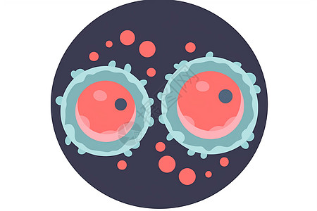 受精卵胚胎图标图片