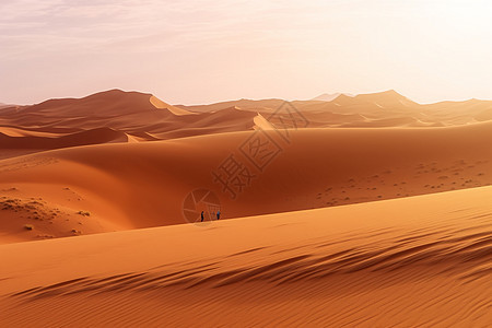 广阔的撒哈拉沙漠背景图片