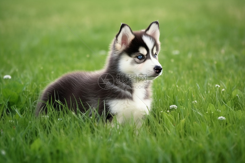 Hershey Park map showing key attractions