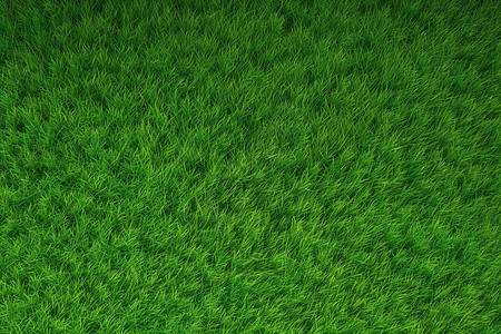 苍翠欲滴的绿草地背景图片
