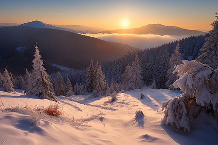 冬季喀尔巴阡山脉图片
