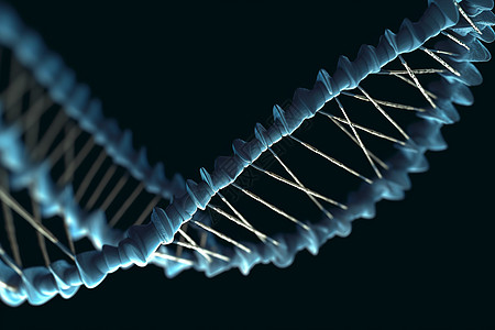 DNA图片