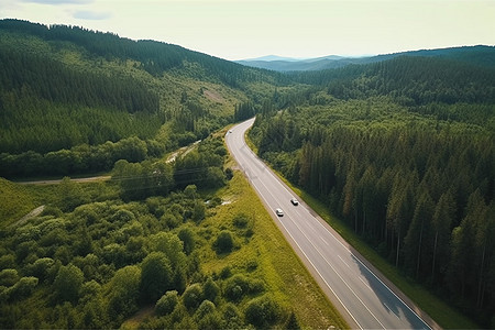 森林里山路上的汽车图片