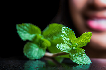 新鲜的绿色薄荷叶图片