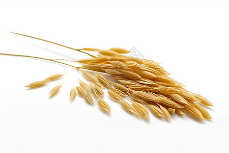 有机米粮食作物背景图片