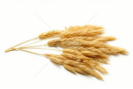 有机米粮食作物图片