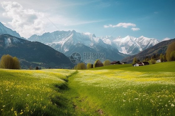 盛开的花朵和草地图片