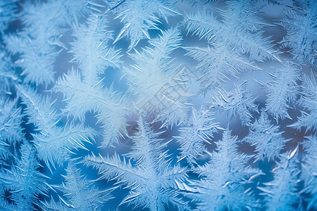 冬日冰晶图片