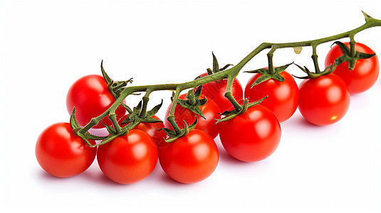 成熟的番茄　图片