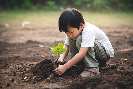 可爱的孩子在黑土上种树图片