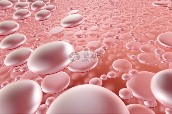 胶原蛋白细胞图片