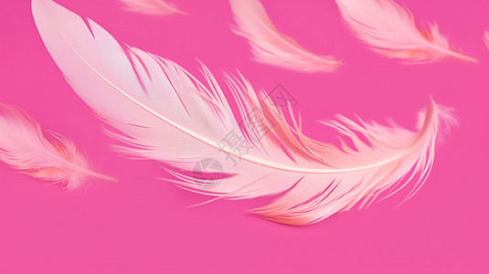 抽象创意的羽毛背景图片