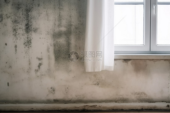 白色窗帘和墙上的黑色霉菌图片