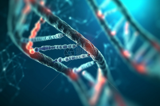 生物细胞分子结构图片