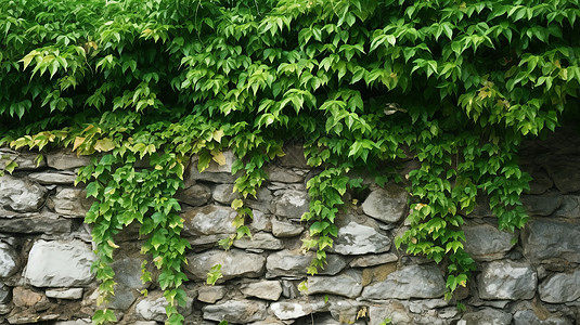 石墙和绿化图片