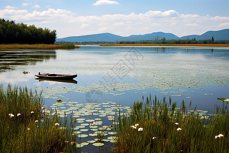 湖边美丽的风景图片