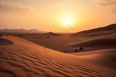 早晨 花迪拜沙漠的奇观背景
