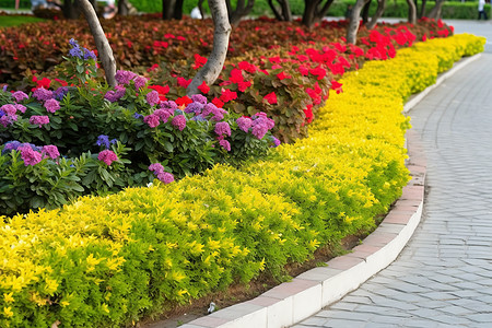 不同道路城市公园里的花朵背景