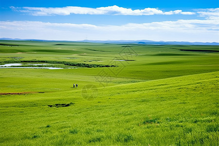 绿色的大草原背景图片
