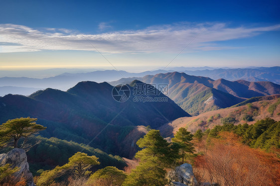 高山和树木风景图片