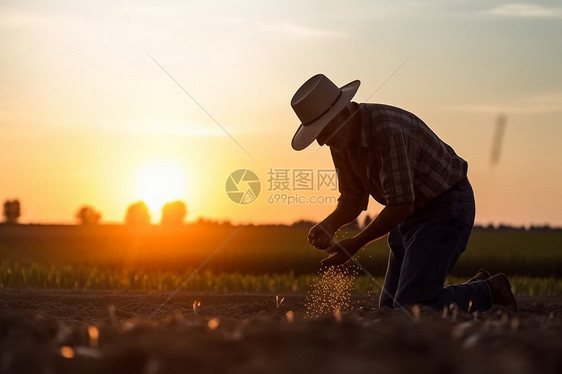 播撒种子的老农图片