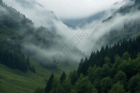 云雾中的山脉图片